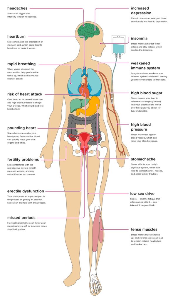 The long term effects of social work linked stress on the body 